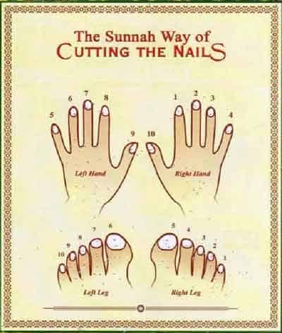 Sunnah Of Cutting Nails (The Proper Way To Trim Finger Nails)