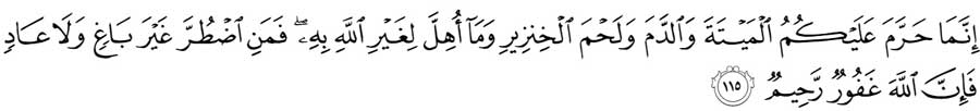 Quran-Chapter-16-verse-115-about-pork