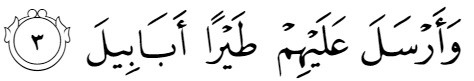 surah fil transliteration in english