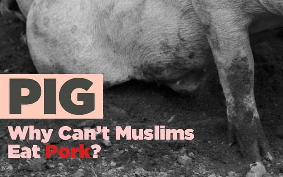 Why Is Pork Haram?