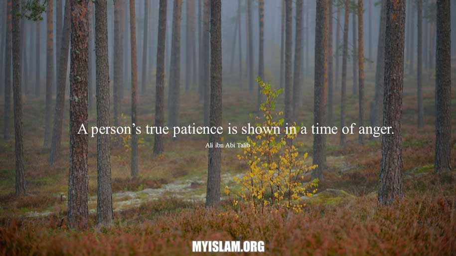 Imam ali quotes about patience