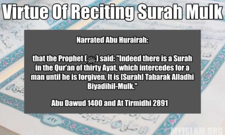 Virtues and Benefits of Surah Mulk – Protection In the Grave