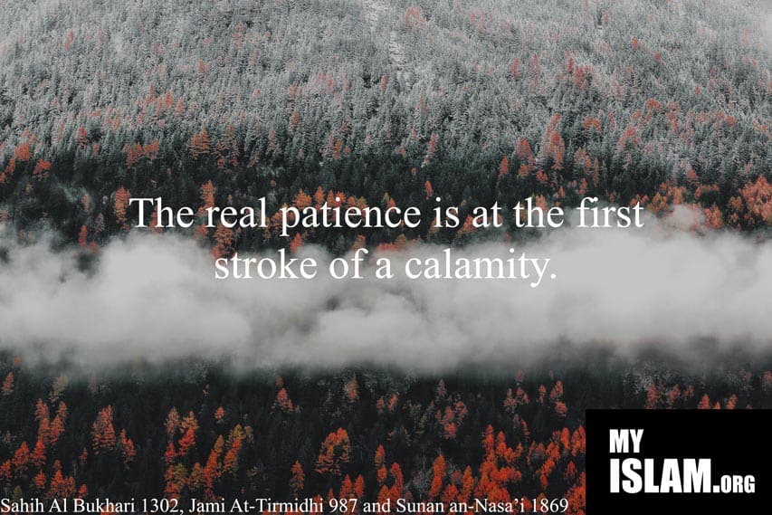 hadith on patience at time of calamity