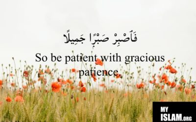 21 Hadith and Quran Verses About Virtue of Patience