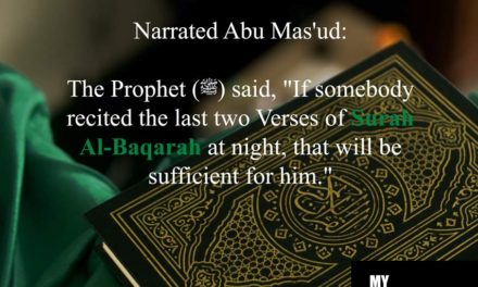 8 Sunnah of Sleeping (Manners of Sleeping in Islam)